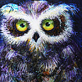 Midnight Hoot