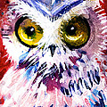 Red Owl